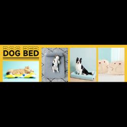 Petso Provides Best Dog Bed with Letest Design