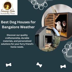 Top-Quality Dog Houses in Bangalore – Order Now