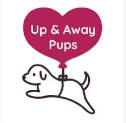 Miniature and Teacup Puppies for Sale at Up & Away Pups