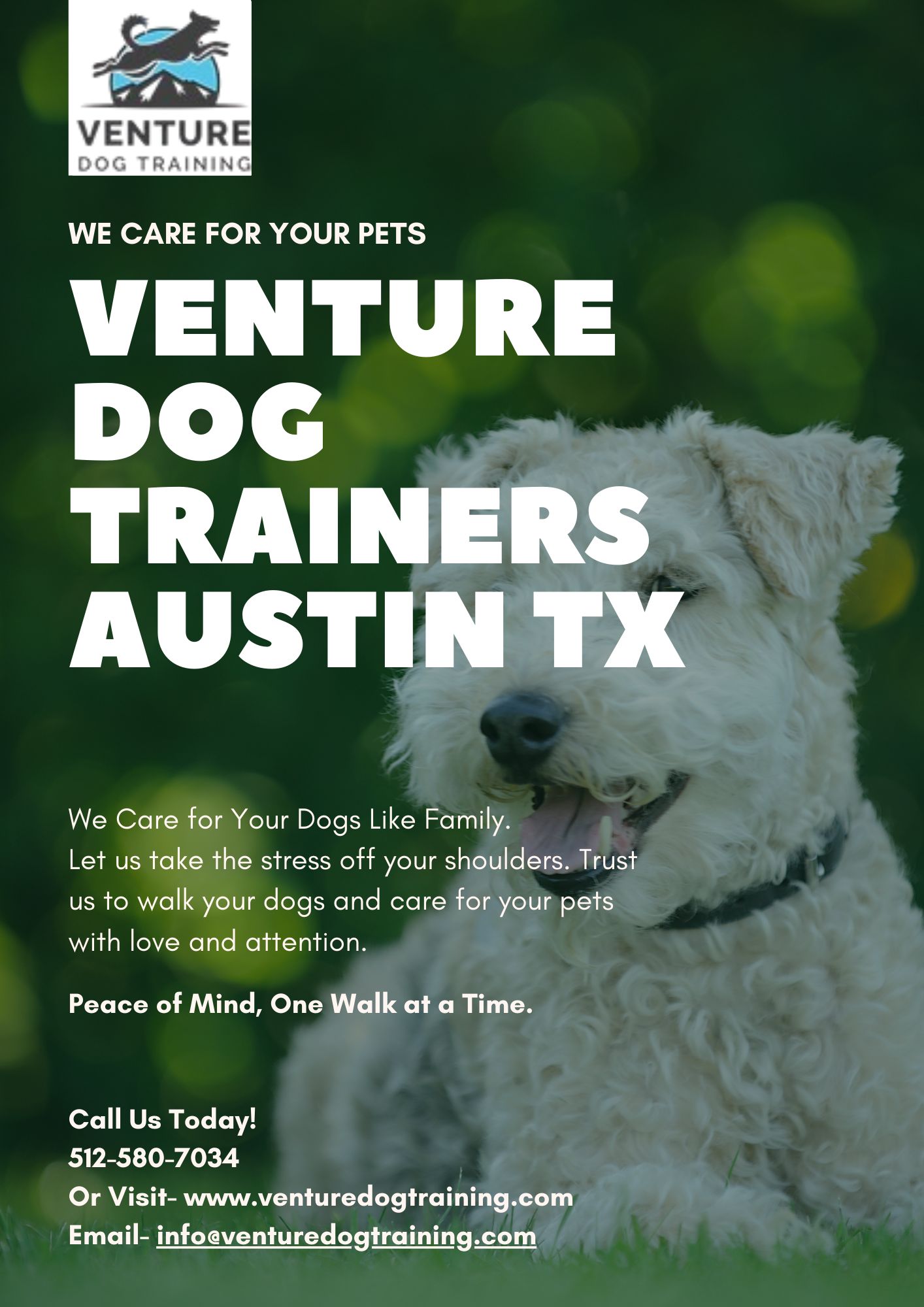 Are You Looking For Dog Training for Reactive Dogs in Austin