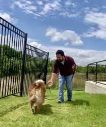 Looking for Expert Dog Trainers in Austin, TX?