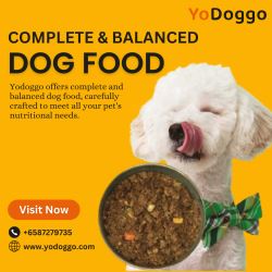 Yodoggo: Simple Dog Food Delivery for Healthier Puppies