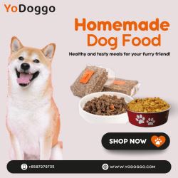 High-Quality Dog Products for Your Furry Friends: Yodoggo